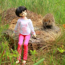 Девочка и Ёжик. Minifee Miyu FairlyLand