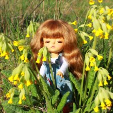 Прогулка Софи. Lati HoneyBee New Mystic Sophie