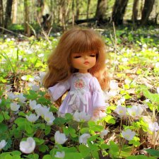 Путешествие Софи в Старицу. Lati HoneyBee New Mystic Sophie