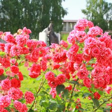 Июльское путешествие в Старицу