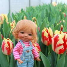 Выставка тюльпанов в Твери, продолжение