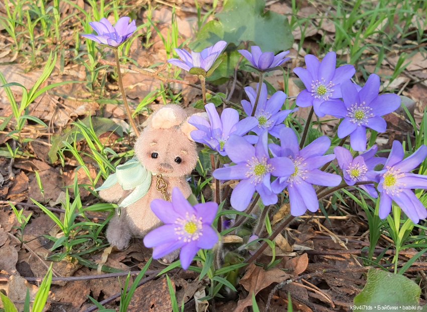 Имани и "Синие подснежники" (фото 10)