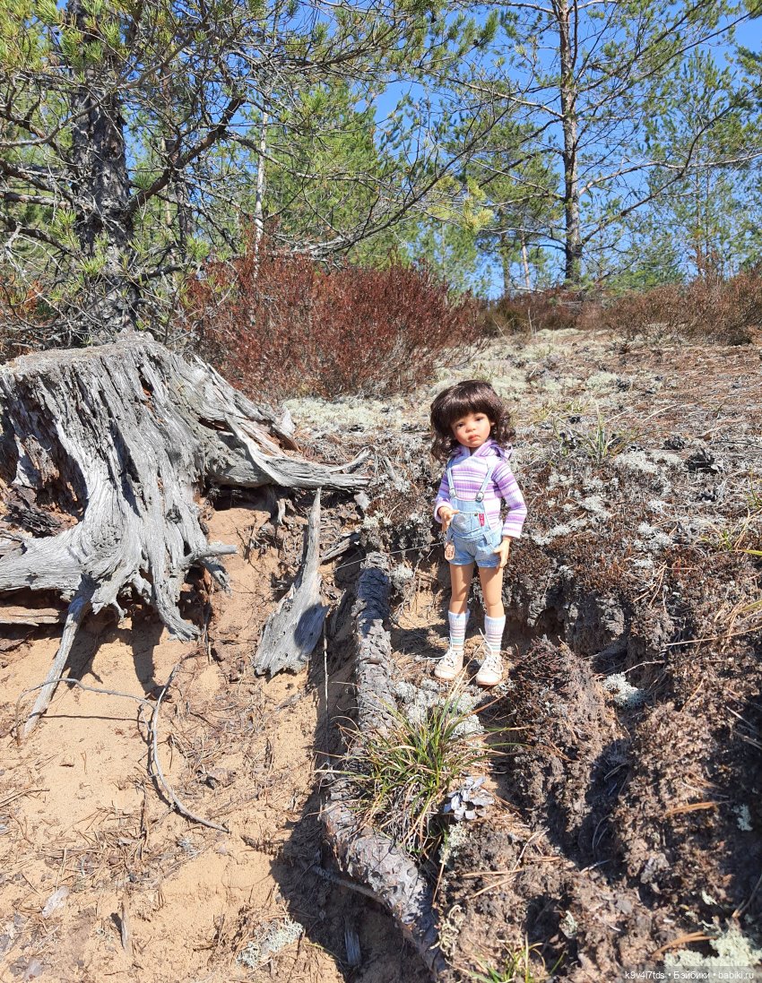 Имани и Оршинский Лес. Mini Imani, автор Kaye Wiggs