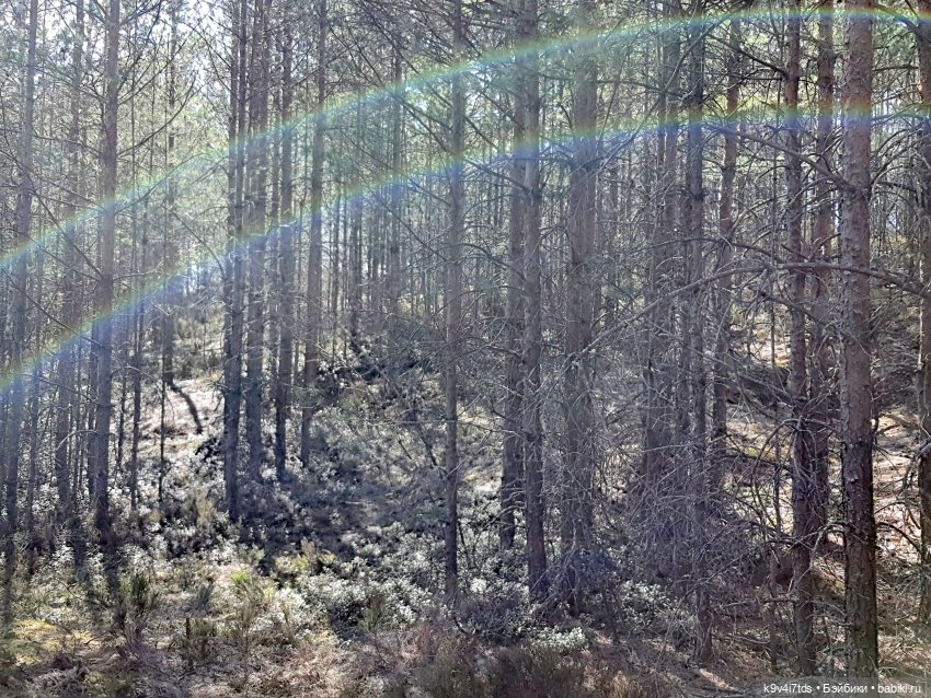 Имани и Оршинский Лес. Mini Imani, автор Kaye Wiggs