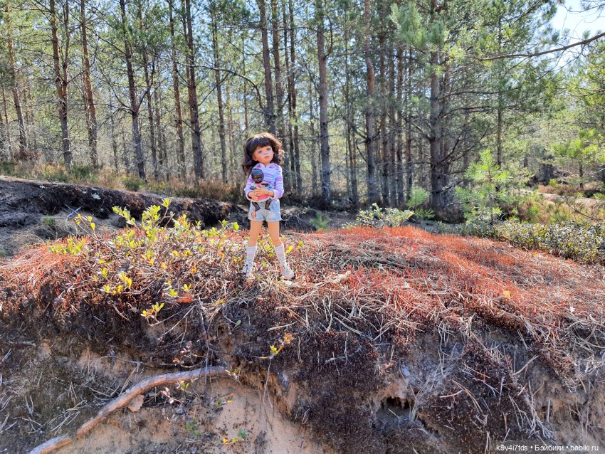 Имани и Оршинский Лес. Mini Imani, автор Kaye Wiggs