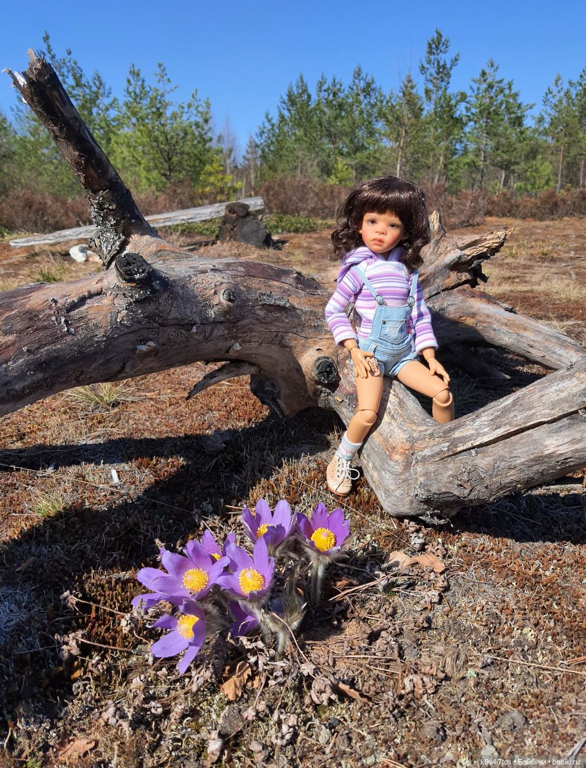 Имани и Оршинский Лес. Mini Imani, автор Kaye Wiggs