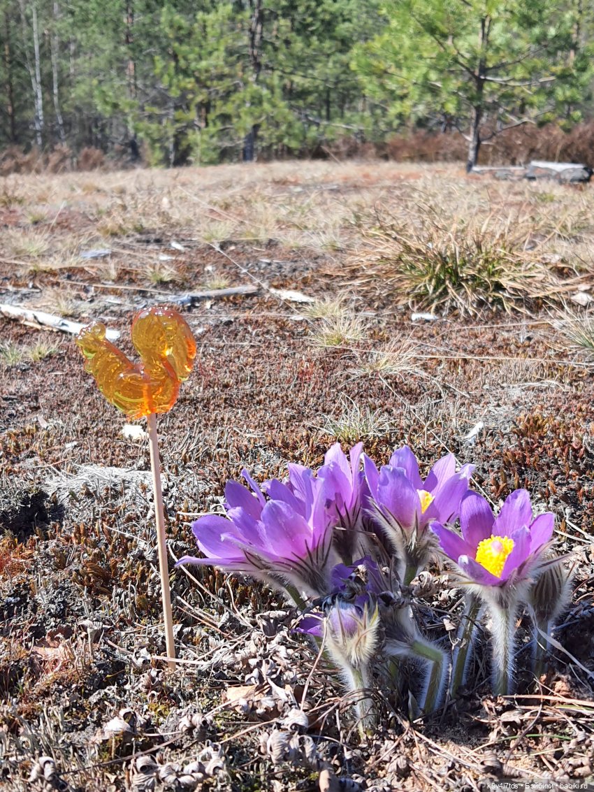 Имани и Оршинский Лес. Mini Imani, автор Kaye Wiggs
