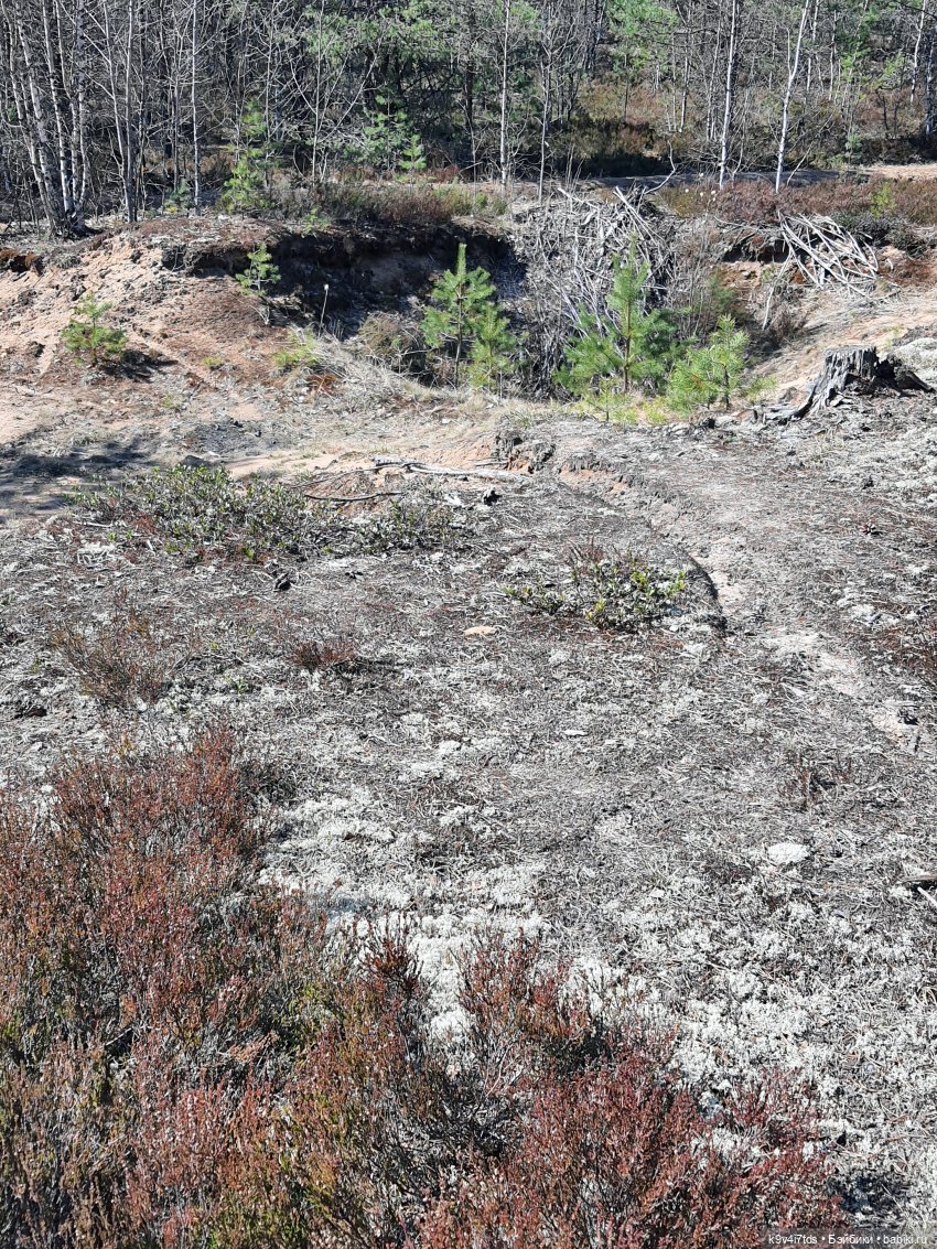 Имани и Оршинский Лес. Mini Imani, автор Kaye Wiggs