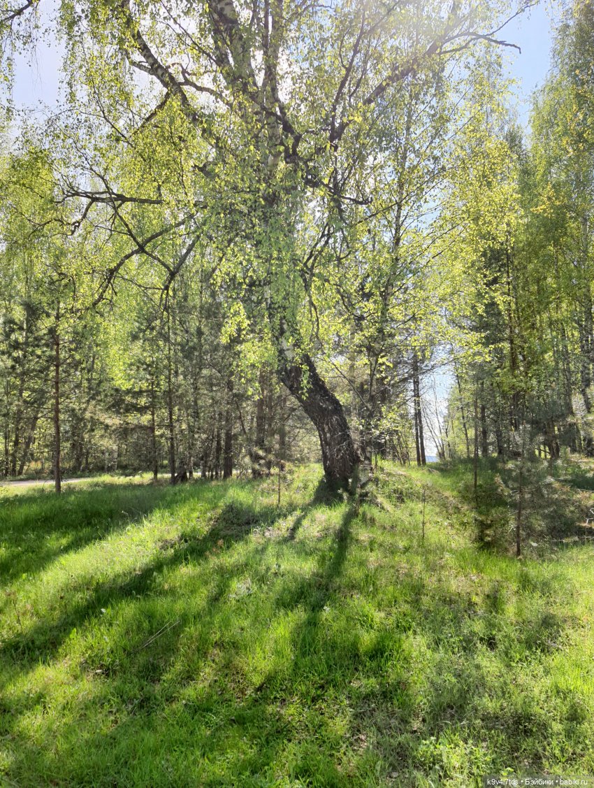 Имани на Волге — Куклы Kaye Wiggs (Кайе Виггс): авторские BJD (БЖД) (фото 7)