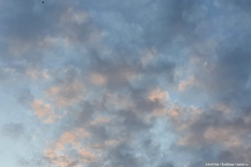 Кукольная Дружба — Куклы Kaye Wiggs (Кайе Виггс): авторские BJD (БЖД) (фото 4)