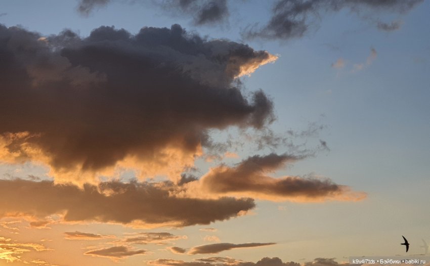 Кукольная Дружба — Куклы Kaye Wiggs (Кайе Виггс): авторские BJD (БЖД)