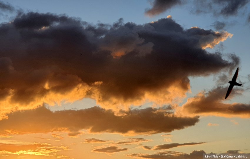 Кукольная Дружба — Куклы Kaye Wiggs (Кайе Виггс): авторские BJD (БЖД) (фото 2)