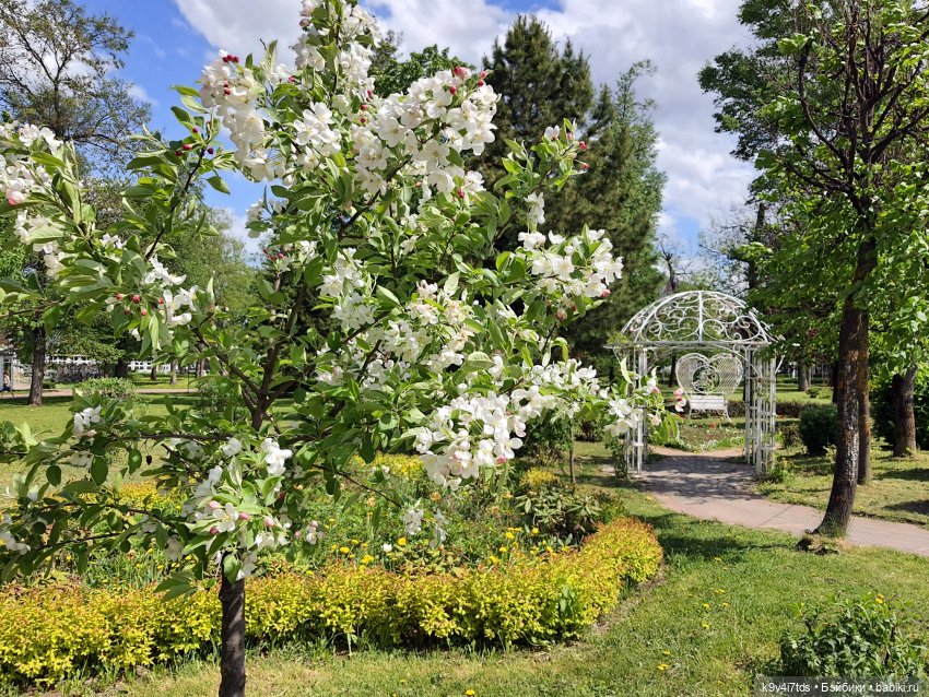 Майская прогулка по Твери. Ч.1, Городской Сад (фото 7)