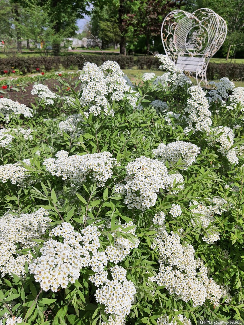 Майская прогулка по Твери. Ч.1, Городской Сад (фото 6)