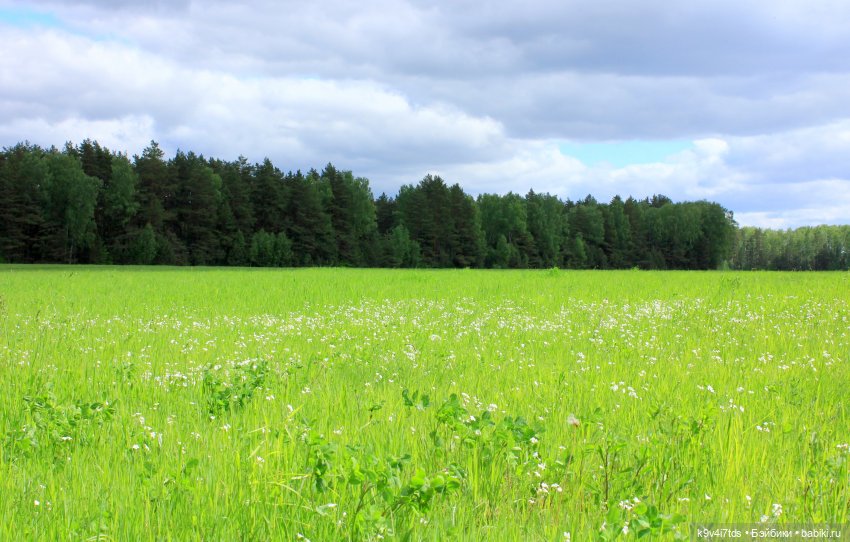 Ландышевый Май — Куклы Kaye Wiggs (Кайе Виггс): авторские BJD (БЖД)