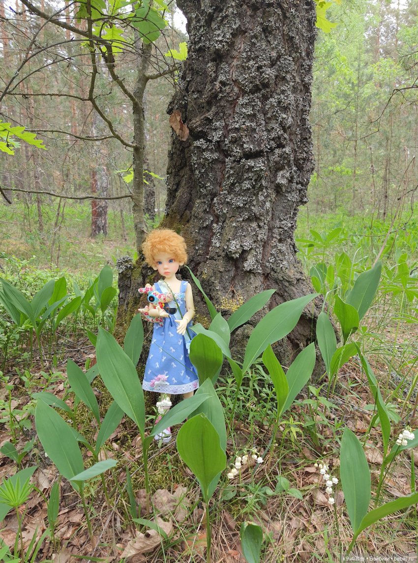 Путешествие "Красотки" — Куклы Kaye Wiggs (Кайе Виггс): авторские BJD (БЖД)