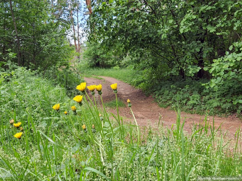 Тайны Природы — Куклы Kaye Wiggs (Кайе Виггс): авторские BJD (БЖД)