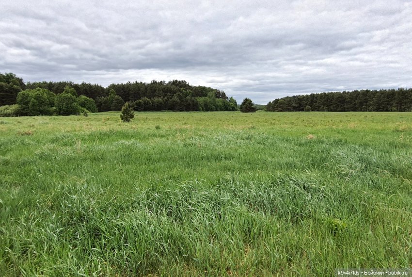 Тайны Природы — Куклы Kaye Wiggs (Кайе Виггс): авторские BJD (БЖД)