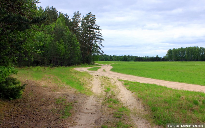 Тайны Природы — Куклы Kaye Wiggs (Кайе Виггс): авторские BJD (БЖД)