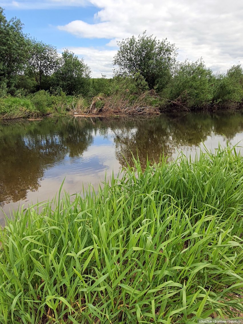 Тайны Природы — Куклы Kaye Wiggs (Кайе Виггс): авторские BJD (БЖД)