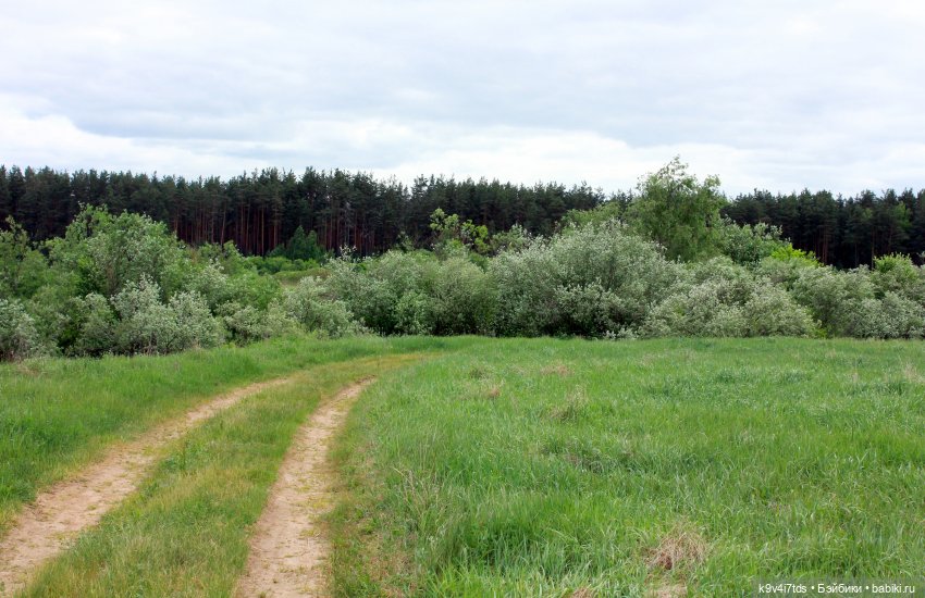 Тайны Природы — Куклы Kaye Wiggs (Кайе Виггс): авторские BJD (БЖД)