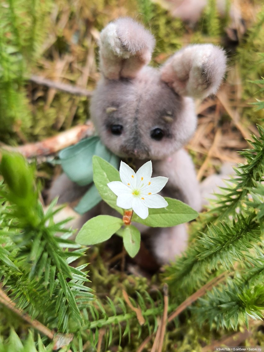 Тайны Природы — Куклы Kaye Wiggs (Кайе Виггс): авторские BJD (БЖД)