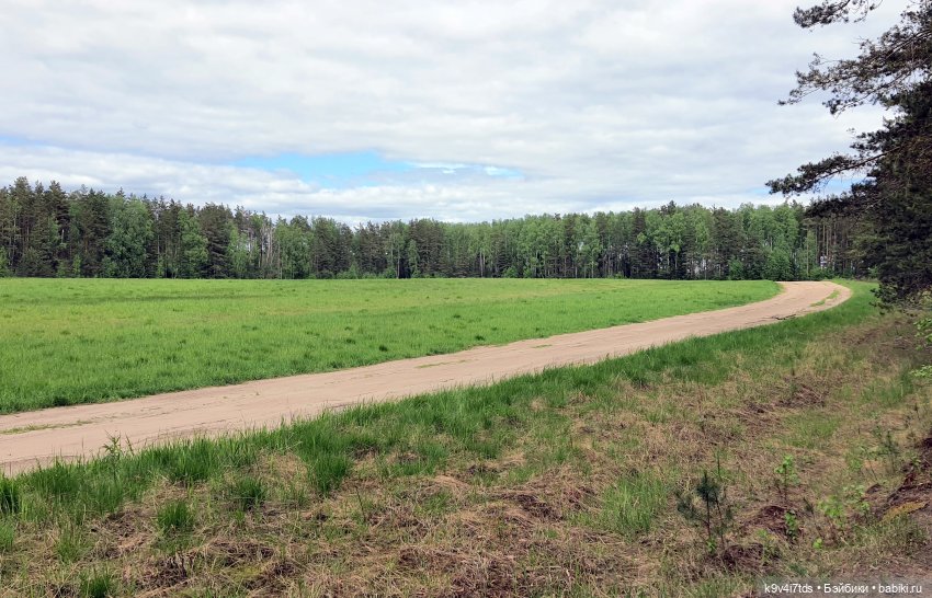 Тайны Природы — Куклы Kaye Wiggs (Кайе Виггс): авторские BJD (БЖД)