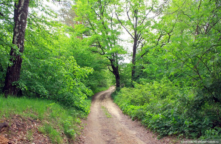 Тайны Природы — Куклы Kaye Wiggs (Кайе Виггс): авторские BJD (БЖД)