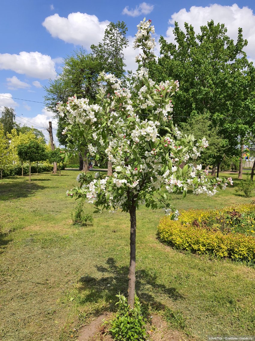 Майская прогулка по Твери. Ч.1, Городской Сад