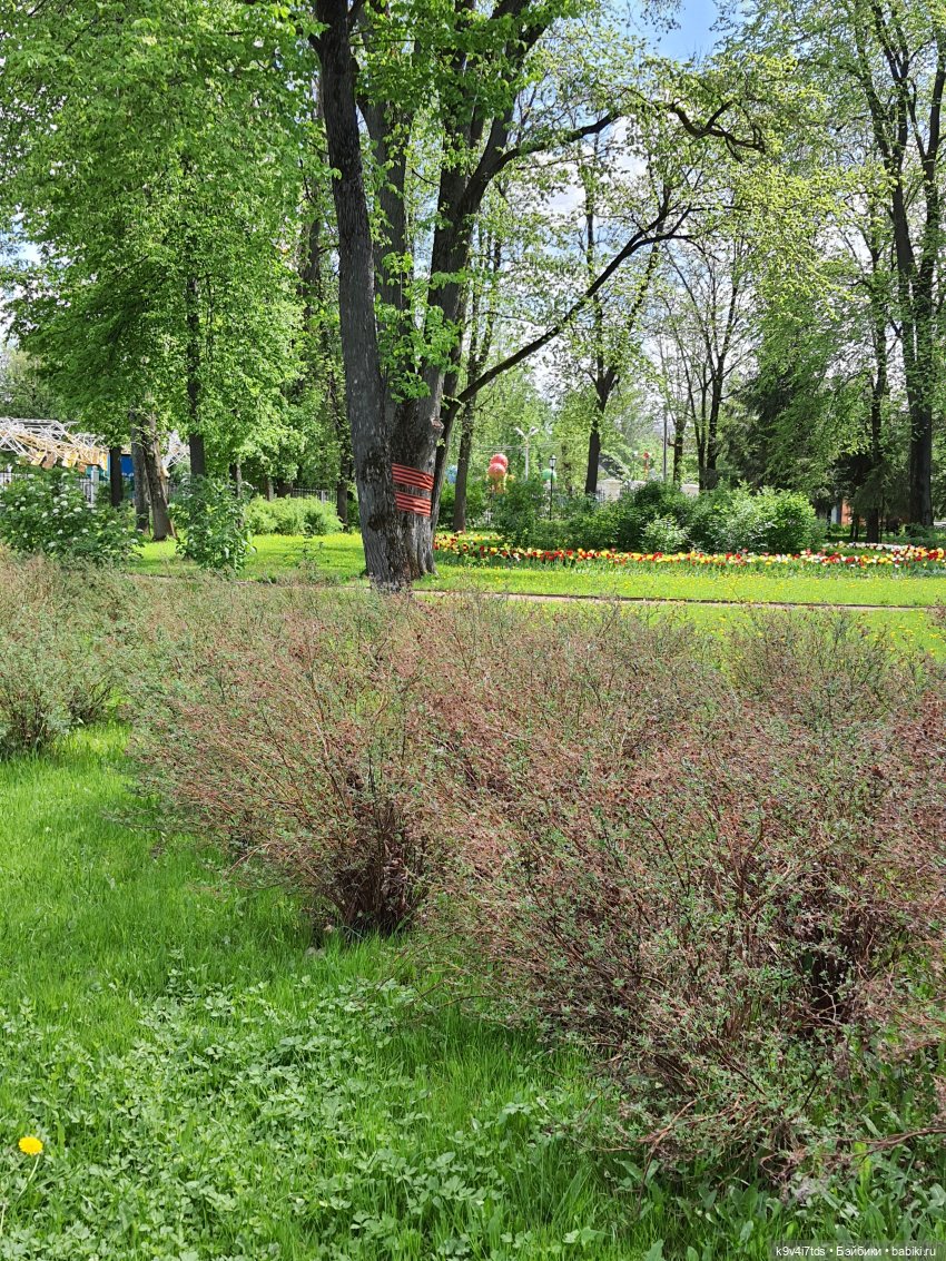 Майская прогулка по Твери. Ч.2, Дворцовый Сад