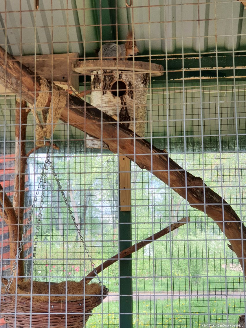 Майская прогулка по Твери. Ч.2, Дворцовый Сад