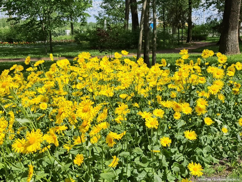 Майская прогулка по Твери. Ч.2, Дворцовый Сад