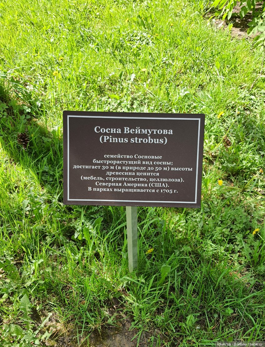 Майская прогулка по Твери. Ч.2, Дворцовый Сад