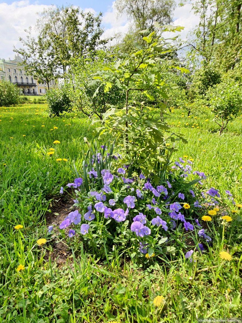 Майская прогулка по Твери. Ч.2, Дворцовый Сад