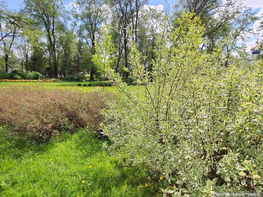 Майская прогулка по Твери. Ч.2, Дворцовый Сад
