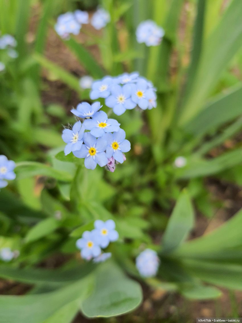 Майская прогулка по Твери. Ч.2, Дворцовый Сад