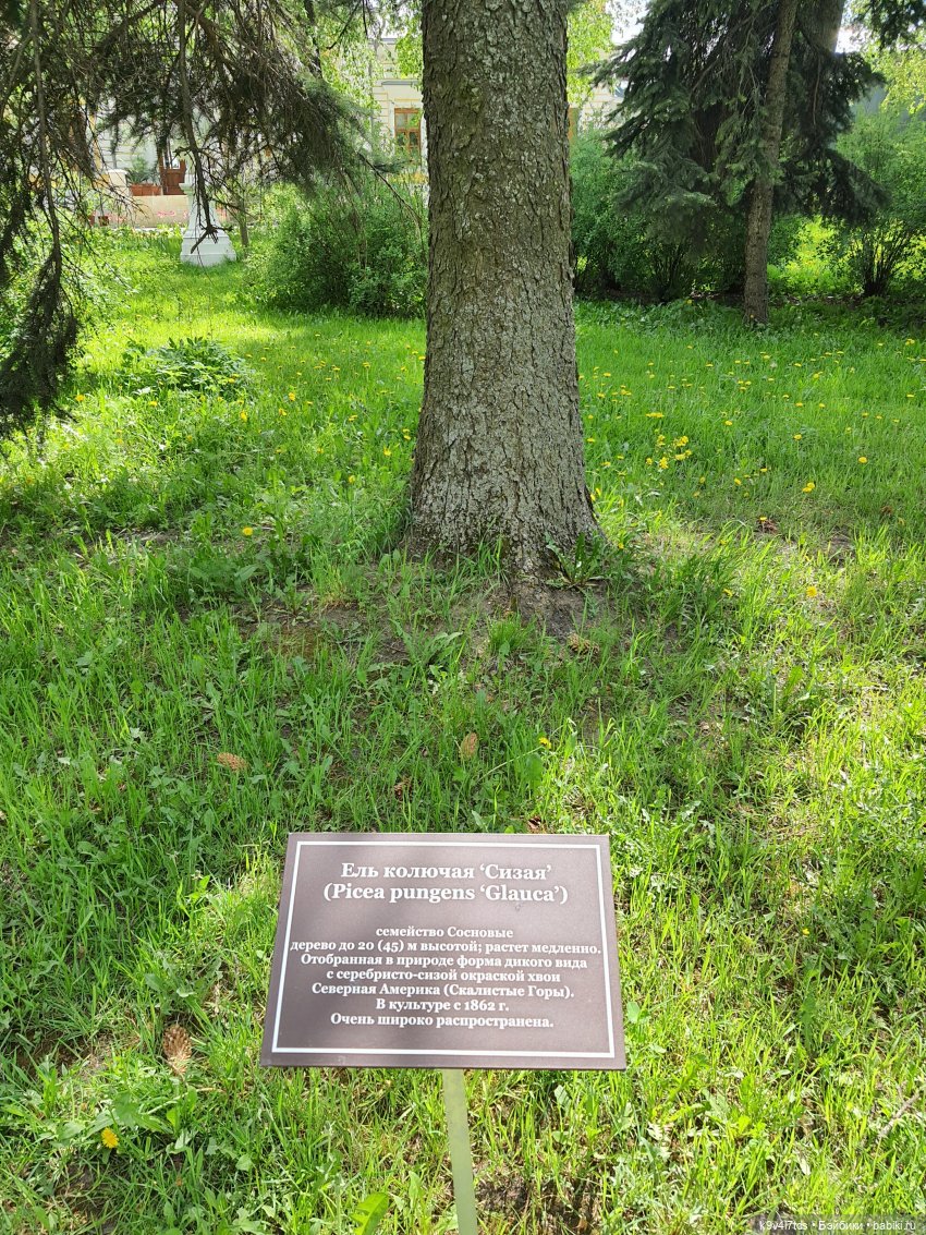 Майская прогулка по Твери. Ч.2, Дворцовый Сад