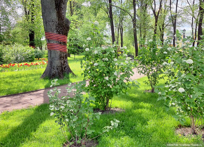 Майская прогулка по Твери. Ч.2, Дворцовый Сад