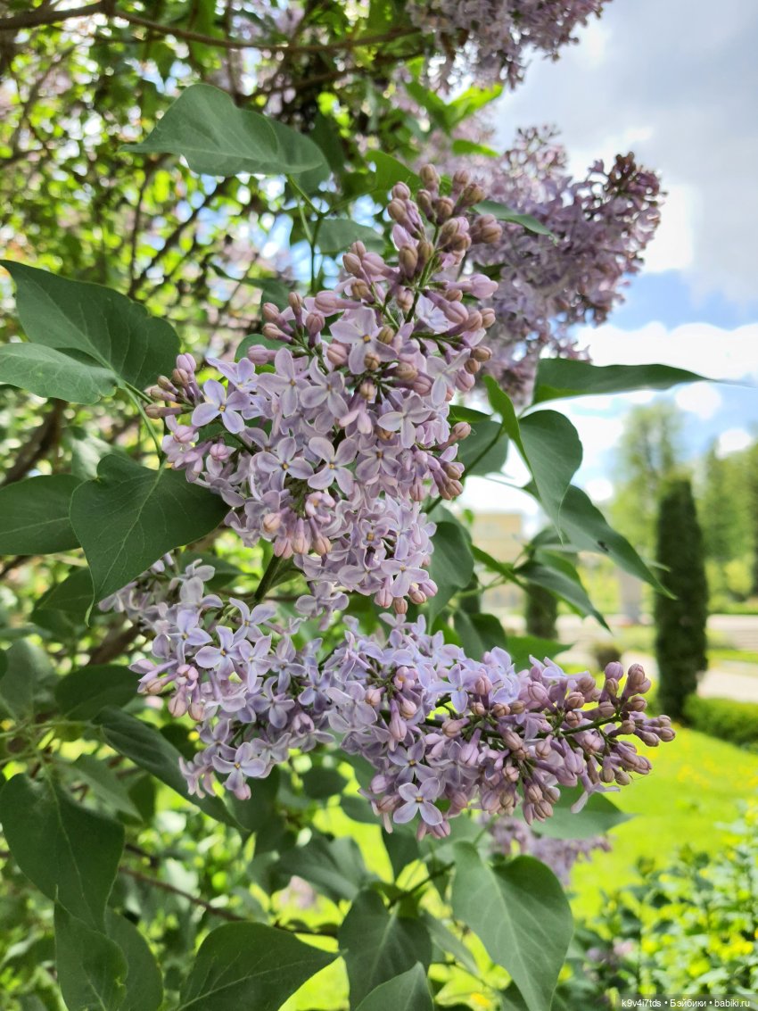 Майская прогулка по Твери. Ч.1, Городской Сад