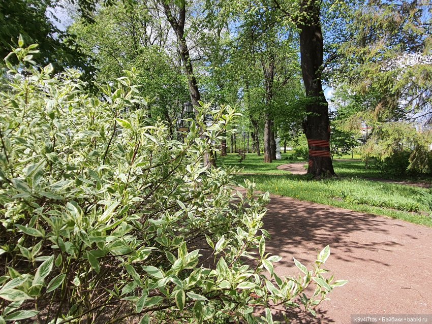 Майская прогулка по Твери. Ч.2, Дворцовый Сад