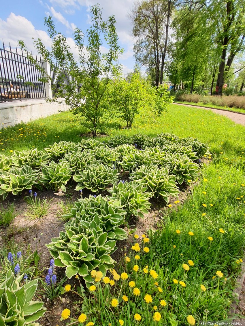 Майская прогулка по Твери. Ч.2, Дворцовый Сад (фото 9)