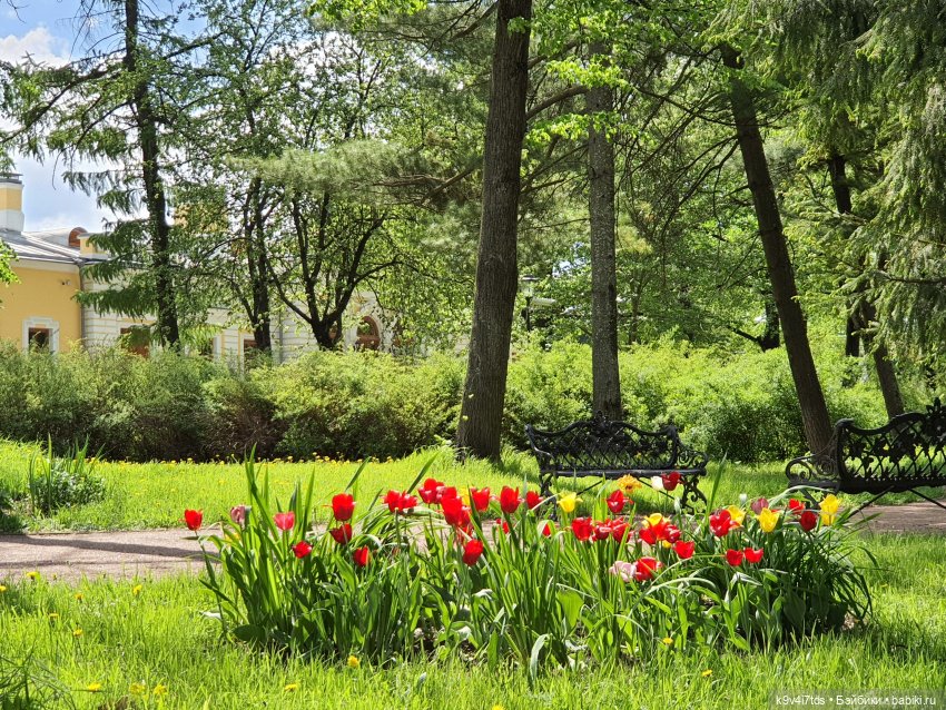 Майская прогулка по Твери. Ч.2, Дворцовый Сад