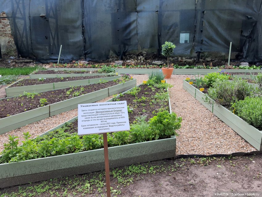 Майская прогулка по Твери. Ч.2, Дворцовый Сад