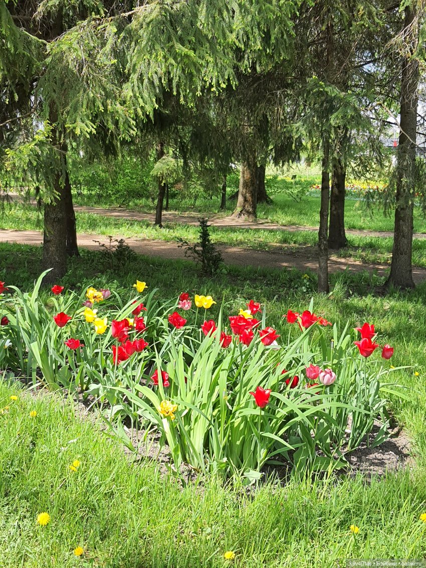 Майская прогулка по Твери. Ч.2, Дворцовый Сад