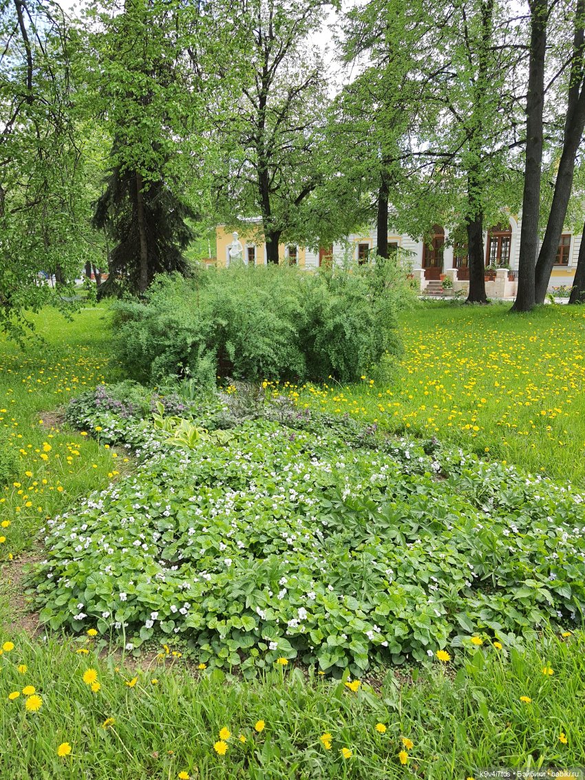 Майская прогулка по Твери. Ч.2, Дворцовый Сад