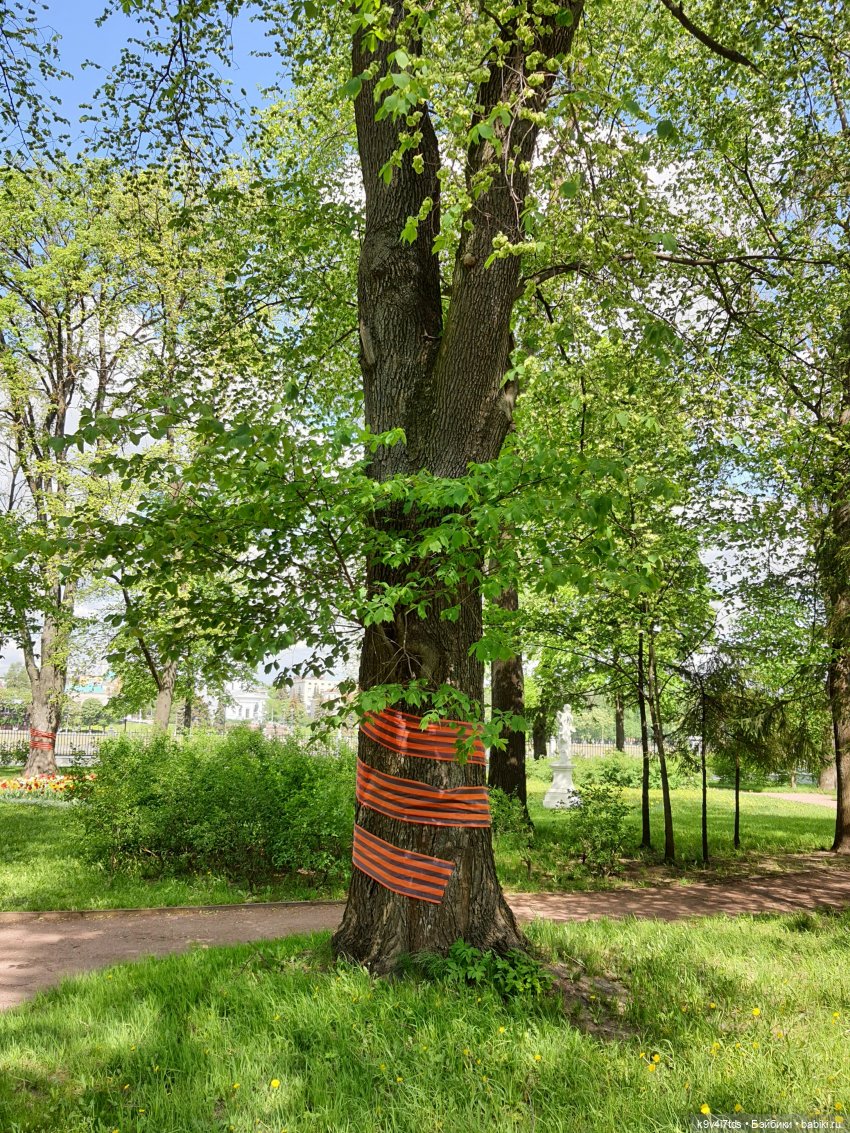 Майская прогулка по Твери. Ч.2, Дворцовый Сад