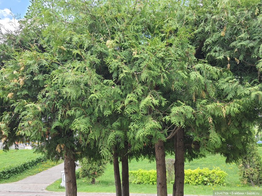 Майская прогулка по Твери. Ч.1, Городской Сад