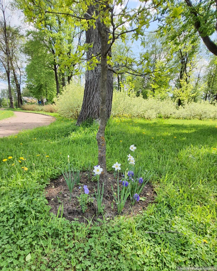 Майская прогулка по Твери. Ч.2, Дворцовый Сад (фото 6)