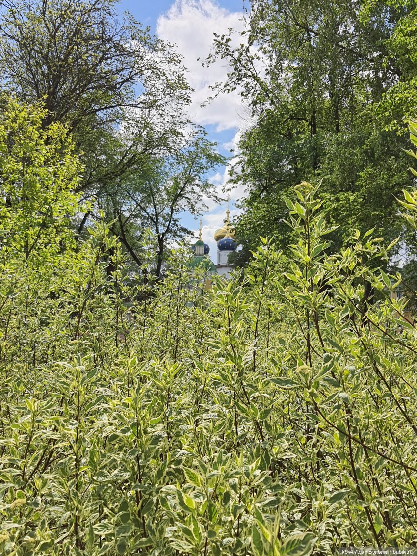 Майская прогулка по Твери. Ч.2, Дворцовый Сад