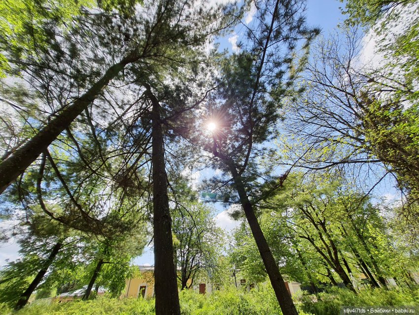 Майская прогулка по Твери. Ч.2, Дворцовый Сад